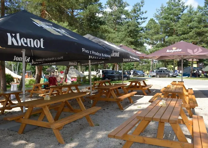 Vakantiehuis Stribrny Rybnik-1 By Interhome *